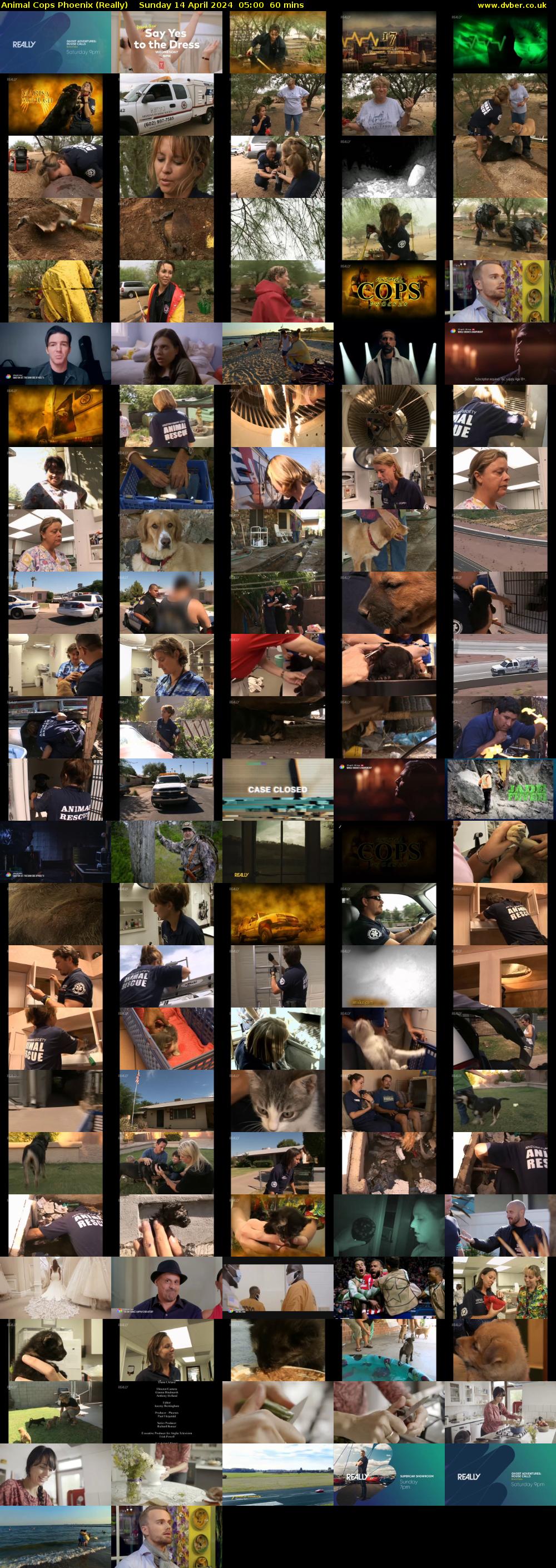 Animal Cops Phoenix (Really) Sunday 14 April 2024 05:00 - 06:00