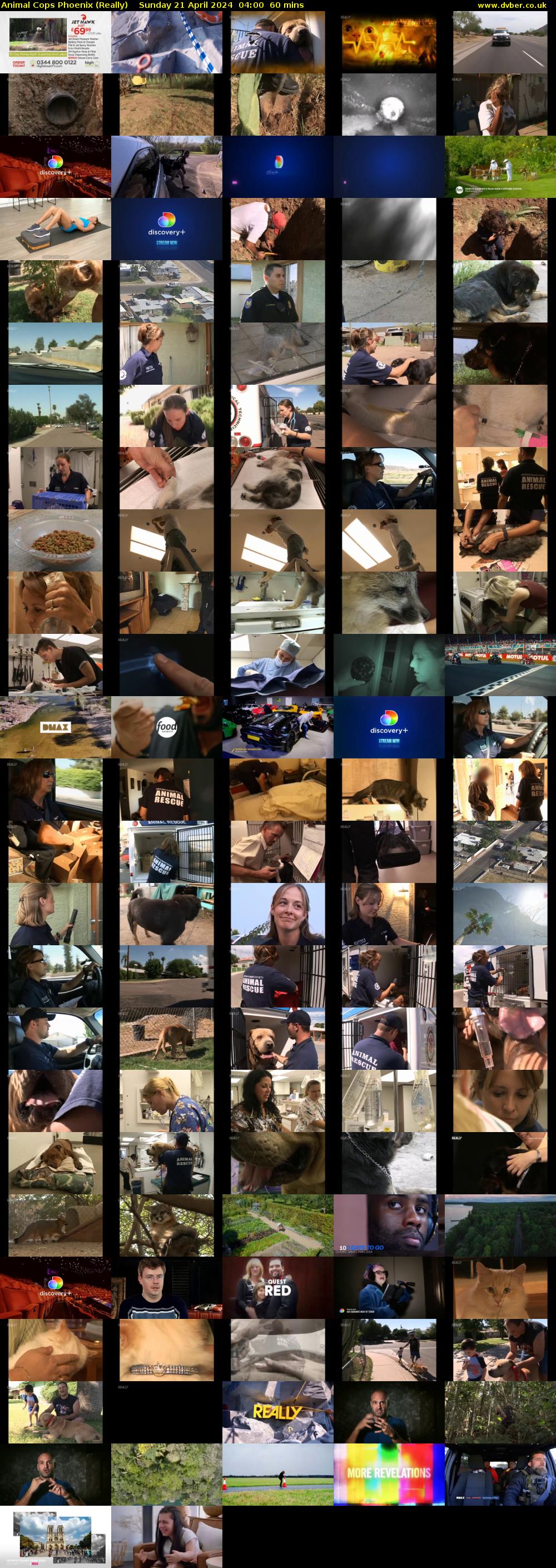 Animal Cops Phoenix (Really) Sunday 21 April 2024 04:00 - 05:00