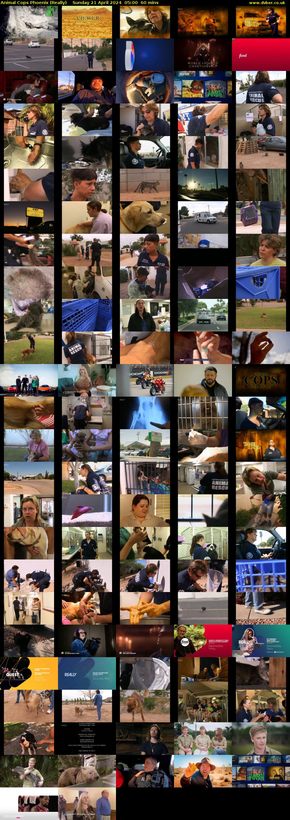 Animal Cops Phoenix (Really) Sunday 21 April 2024 05:00 - 06:00
