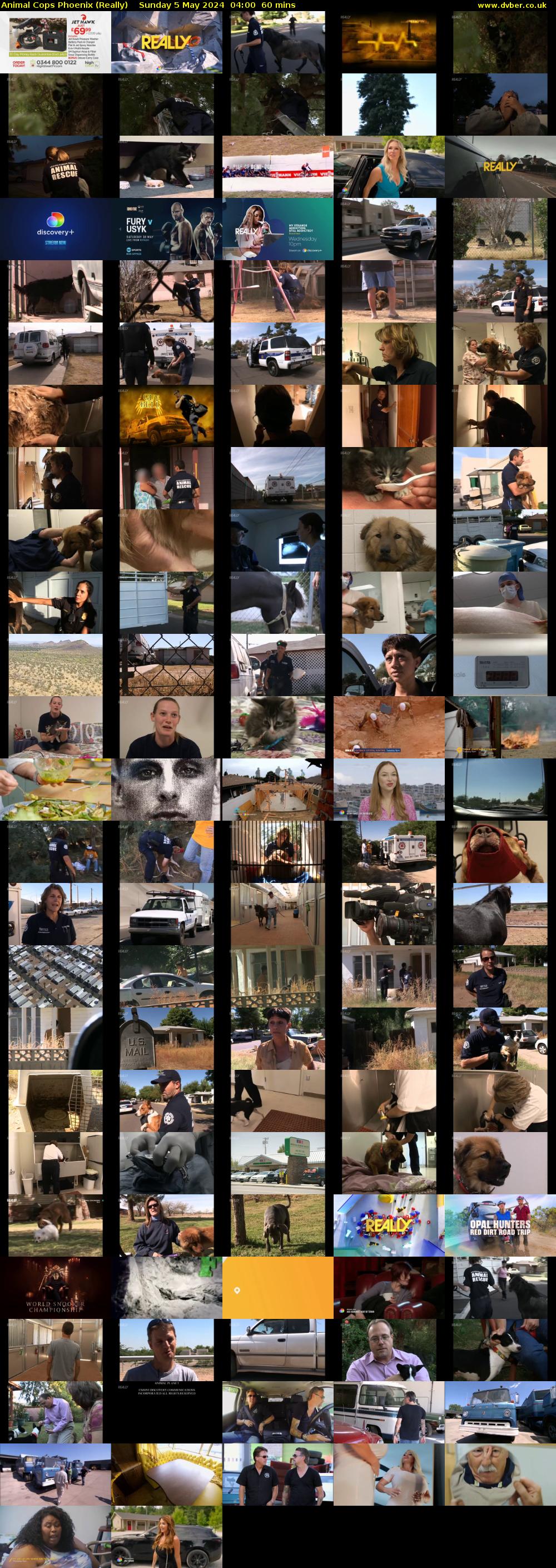 Animal Cops Phoenix (Really) Sunday 5 May 2024 04:00 - 05:00