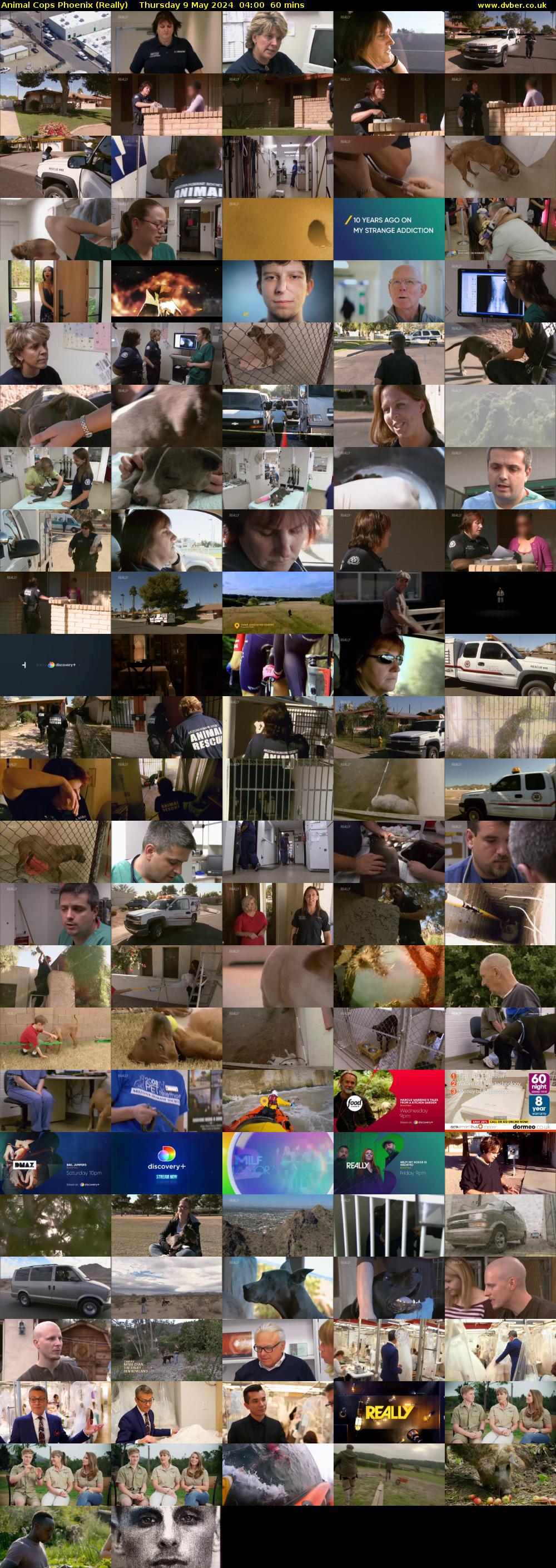 Animal Cops Phoenix (Really) Thursday 9 May 2024 04:00 - 05:00