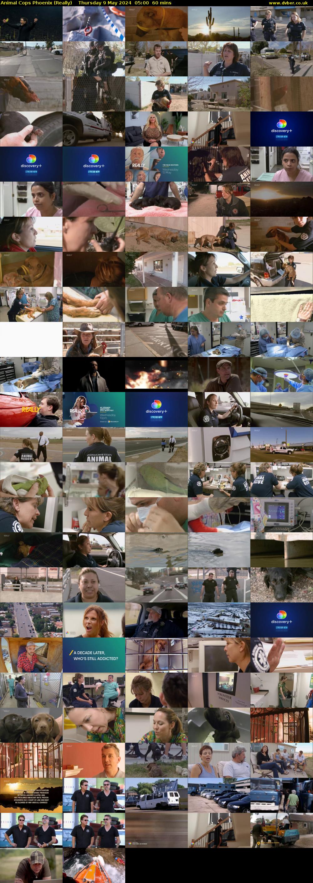 Animal Cops Phoenix (Really) Thursday 9 May 2024 05:00 - 06:00