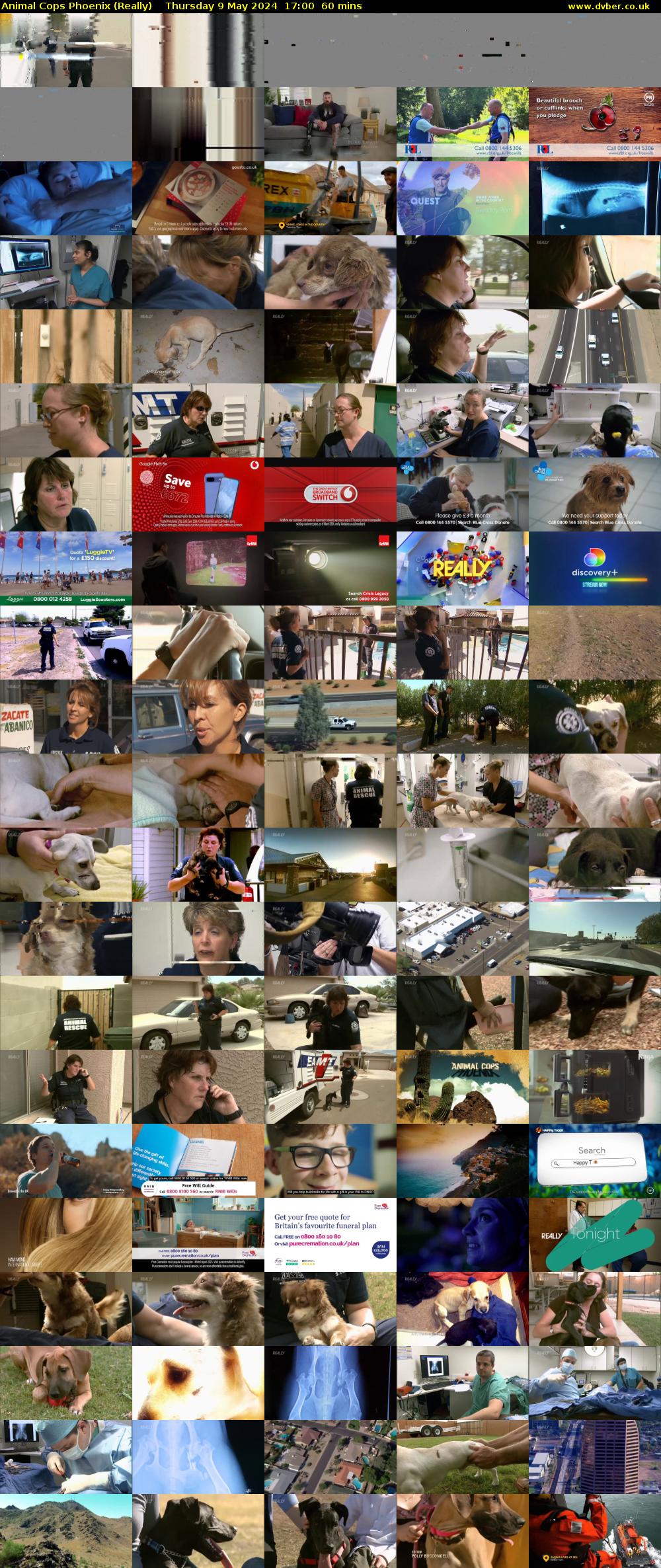 Animal Cops Phoenix (Really) Thursday 9 May 2024 17:00 - 18:00