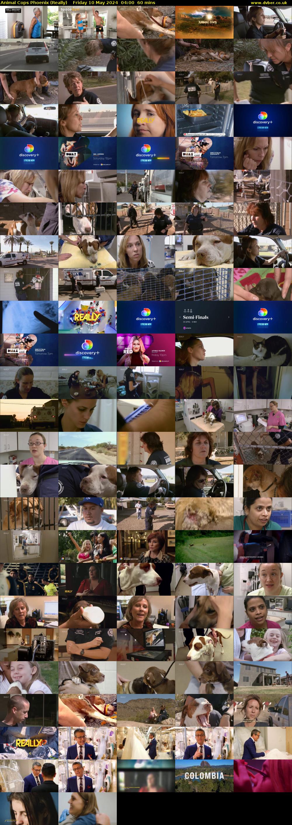 Animal Cops Phoenix (Really) Friday 10 May 2024 04:00 - 05:00