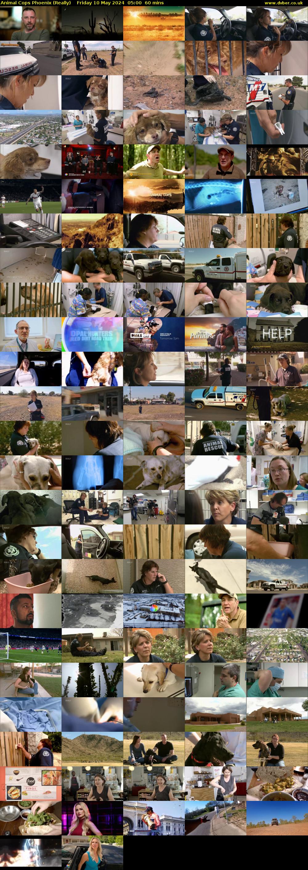Animal Cops Phoenix (Really) Friday 10 May 2024 05:00 - 06:00