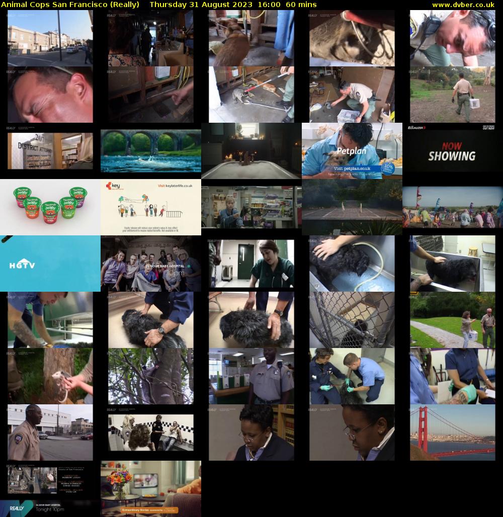 Animal Cops San Francisco (Really) Thursday 31 August 2023 16:00 - 17:00