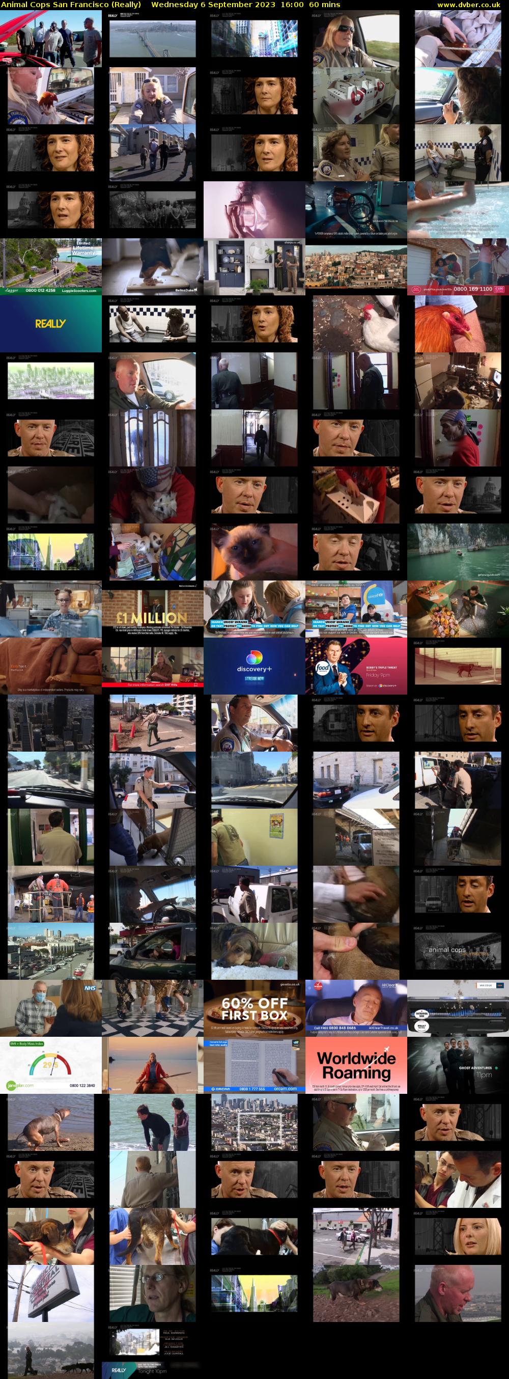 Animal Cops San Francisco (Really) Wednesday 6 September 2023 16:00 - 17:00