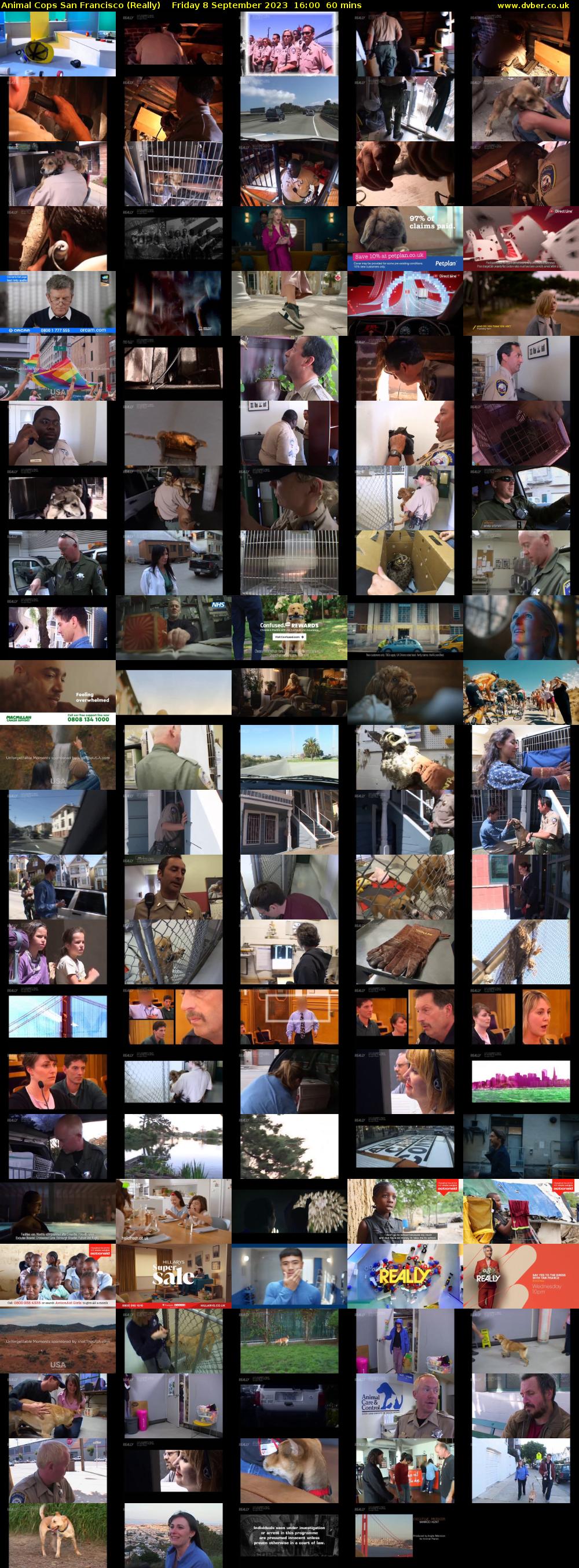 Animal Cops San Francisco (Really) Friday 8 September 2023 16:00 - 17:00