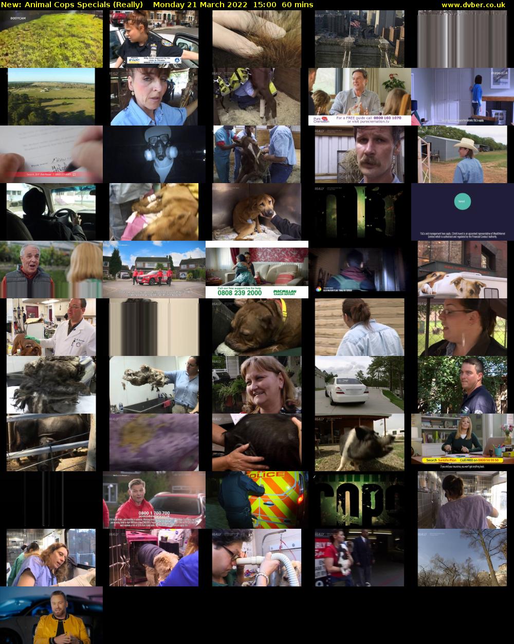 Animal Cops Specials (Really) Monday 21 March 2022 15:00 - 16:00