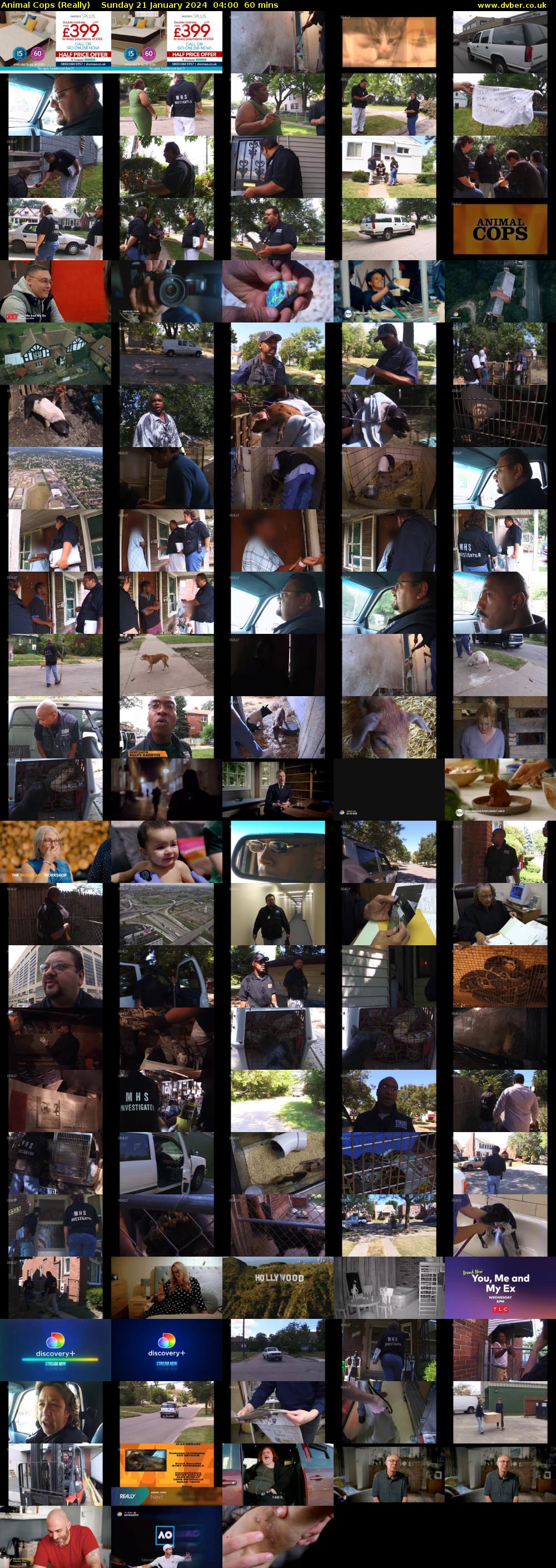 Animal Cops (Really) Sunday 21 January 2024 04:00 - 05:00