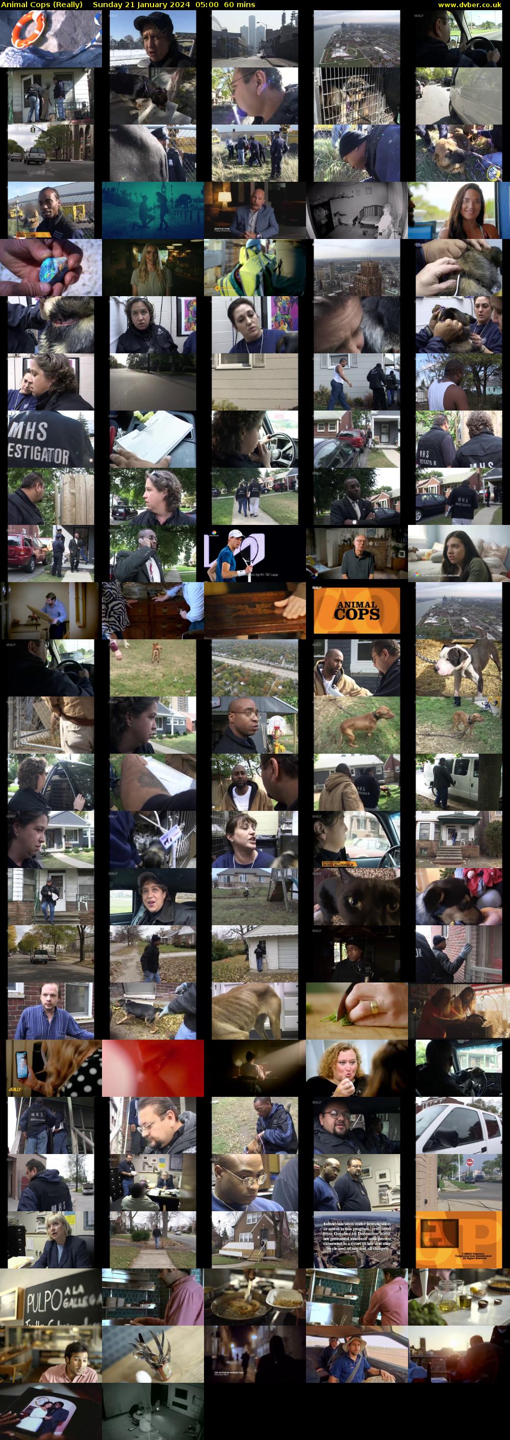Animal Cops (Really) Sunday 21 January 2024 05:00 - 06:00