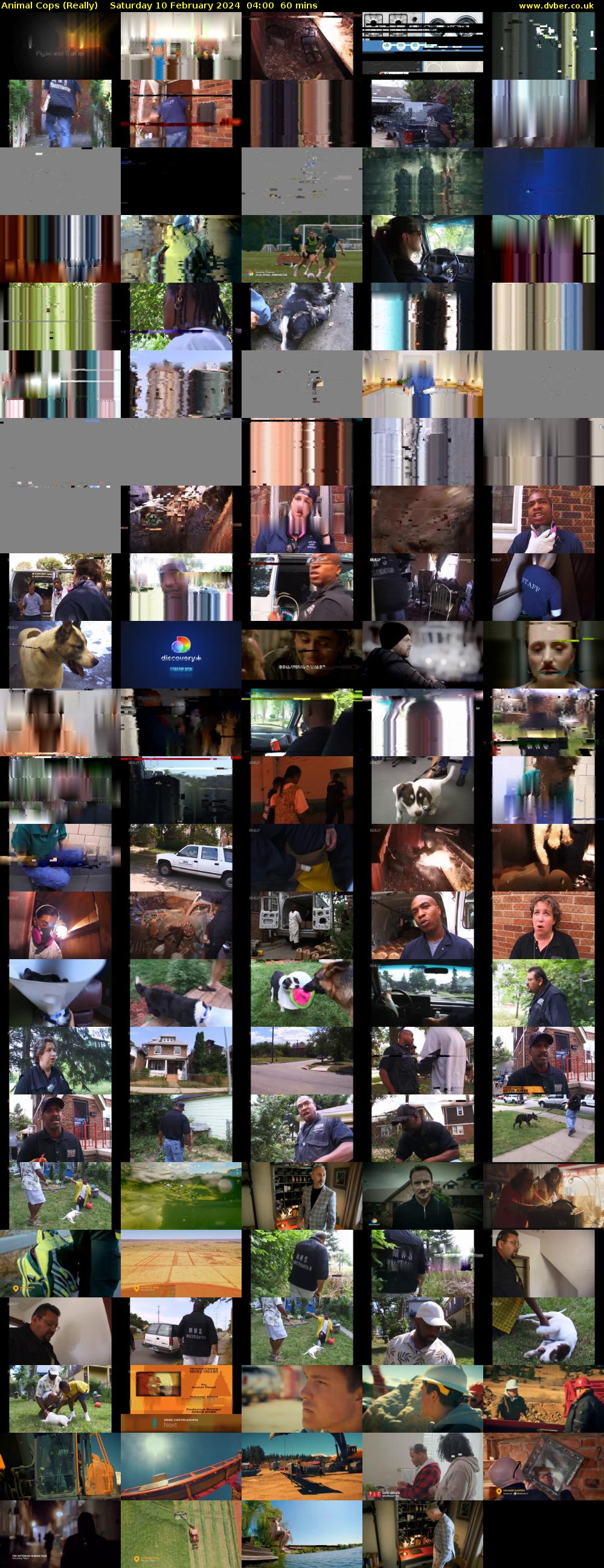 Animal Cops (Really) Saturday 10 February 2024 04:00 - 05:00