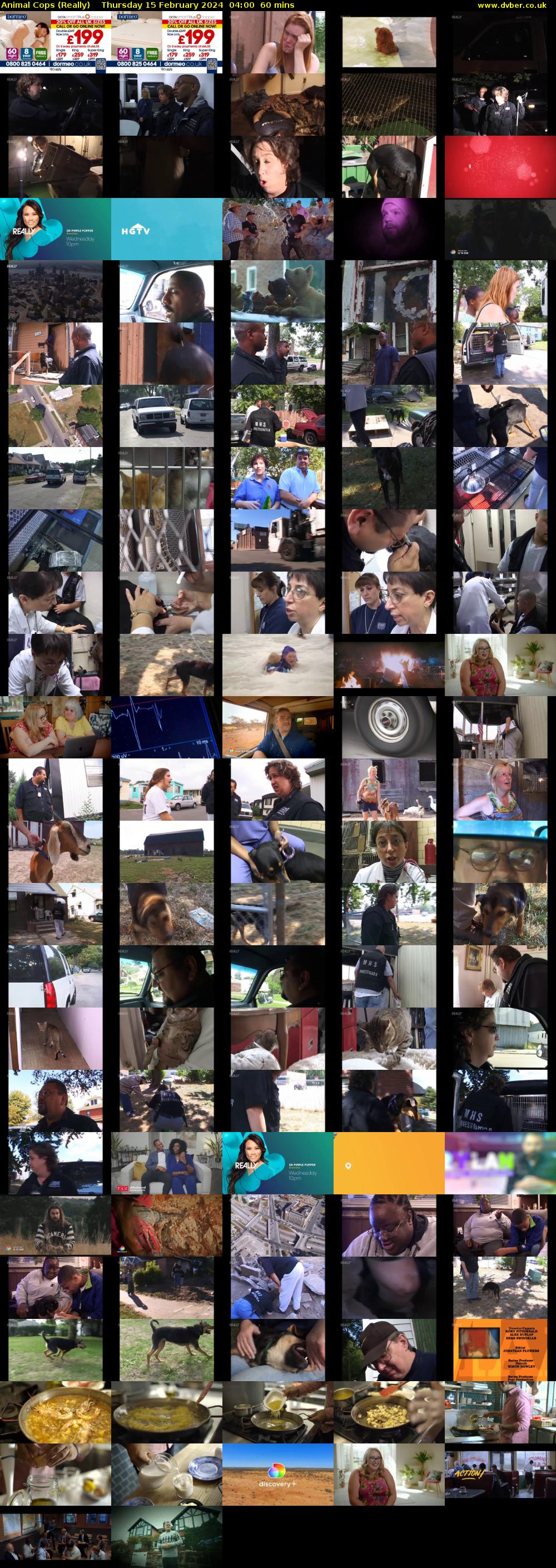 Animal Cops (Really) Thursday 15 February 2024 04:00 - 05:00