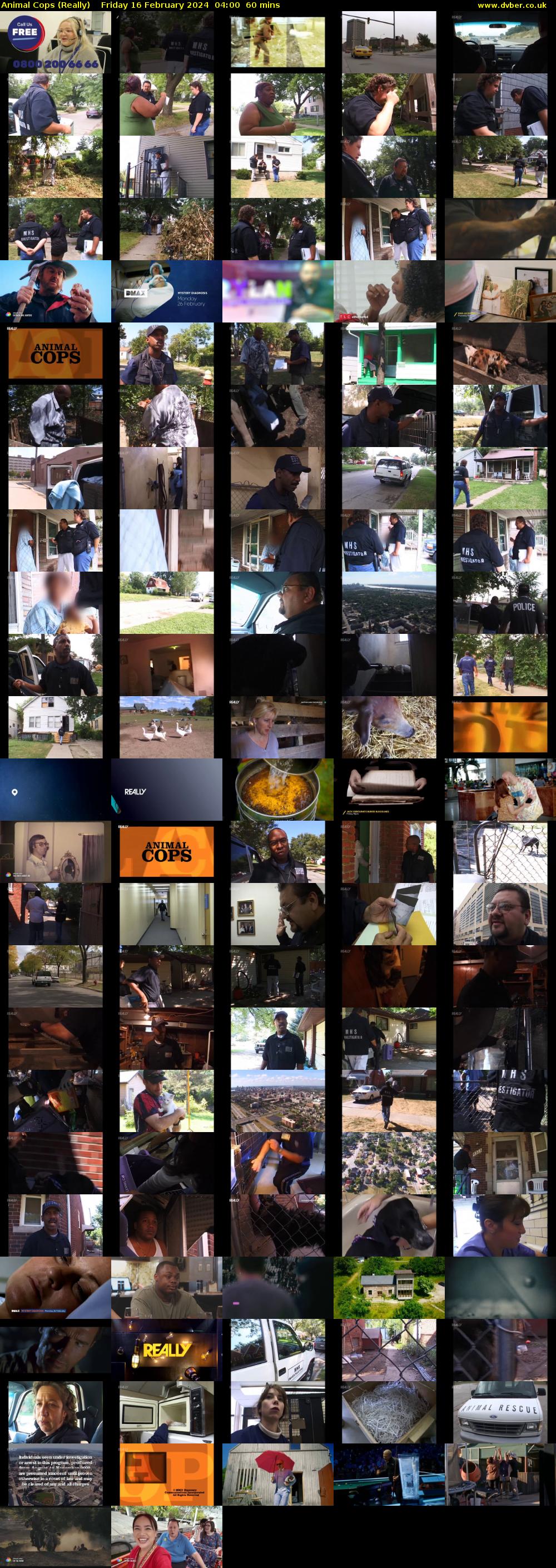 Animal Cops (Really) Friday 16 February 2024 04:00 - 05:00