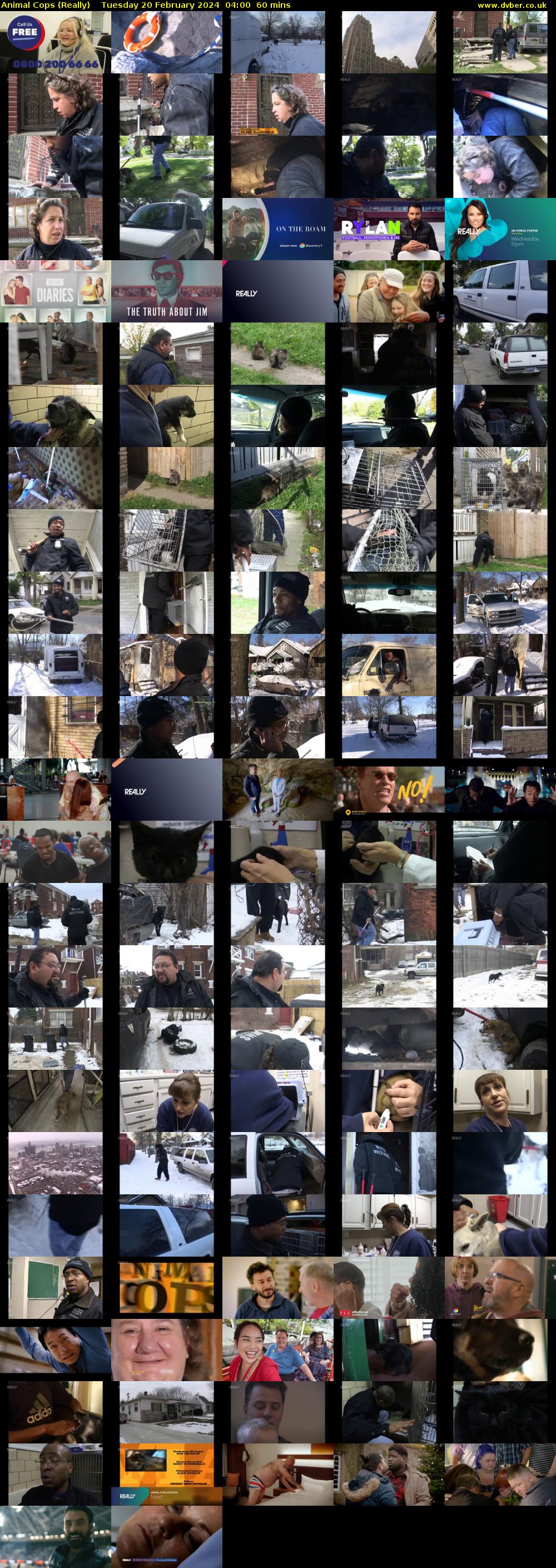 Animal Cops (Really) Tuesday 20 February 2024 04:00 - 05:00