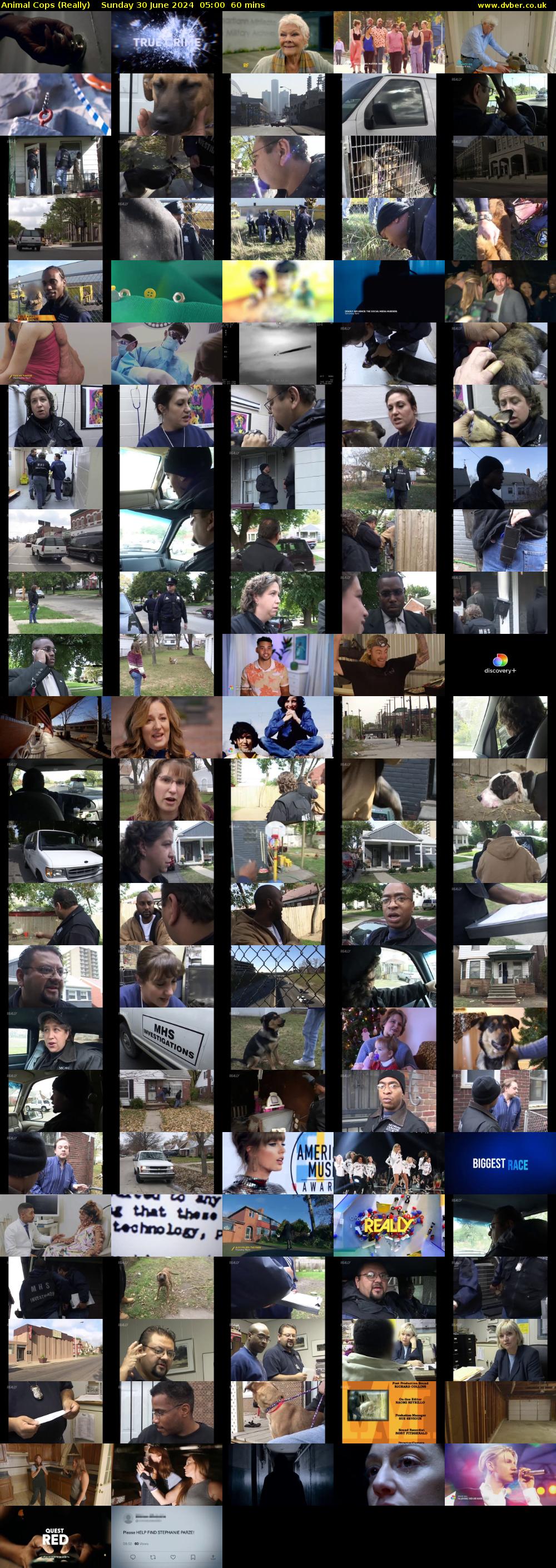 Animal Cops (Really) Sunday 30 June 2024 05:00 - 06:00