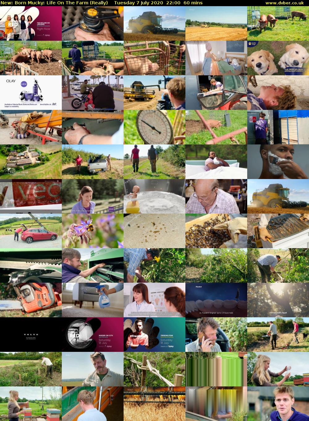 Born Mucky: Life On The Farm (Really) Tuesday 7 July 2020 22:00 - 23:00