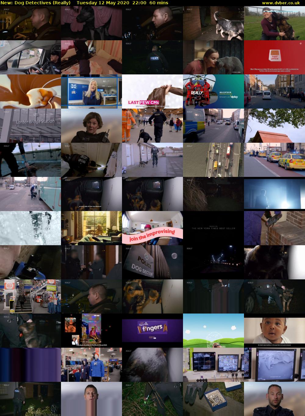 Dog Detectives (Really) Tuesday 12 May 2020 22:00 - 23:00