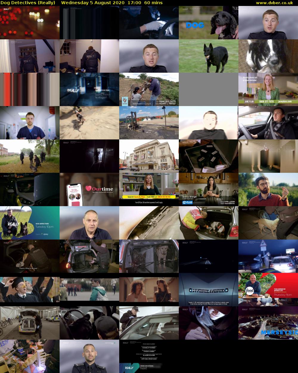 Dog Detectives (Really) Wednesday 5 August 2020 17:00 - 18:00