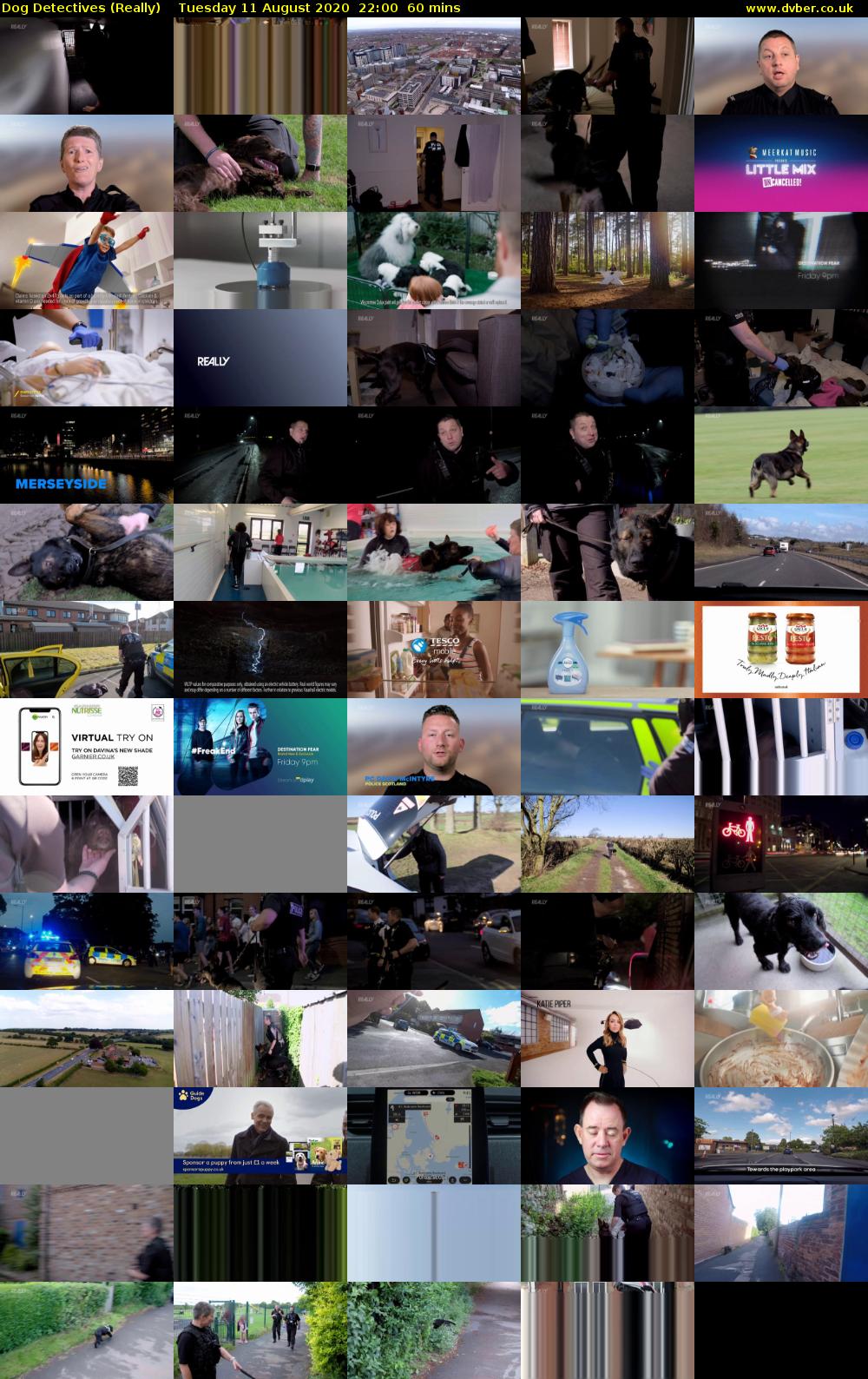Dog Detectives (Really) Tuesday 11 August 2020 22:00 - 23:00