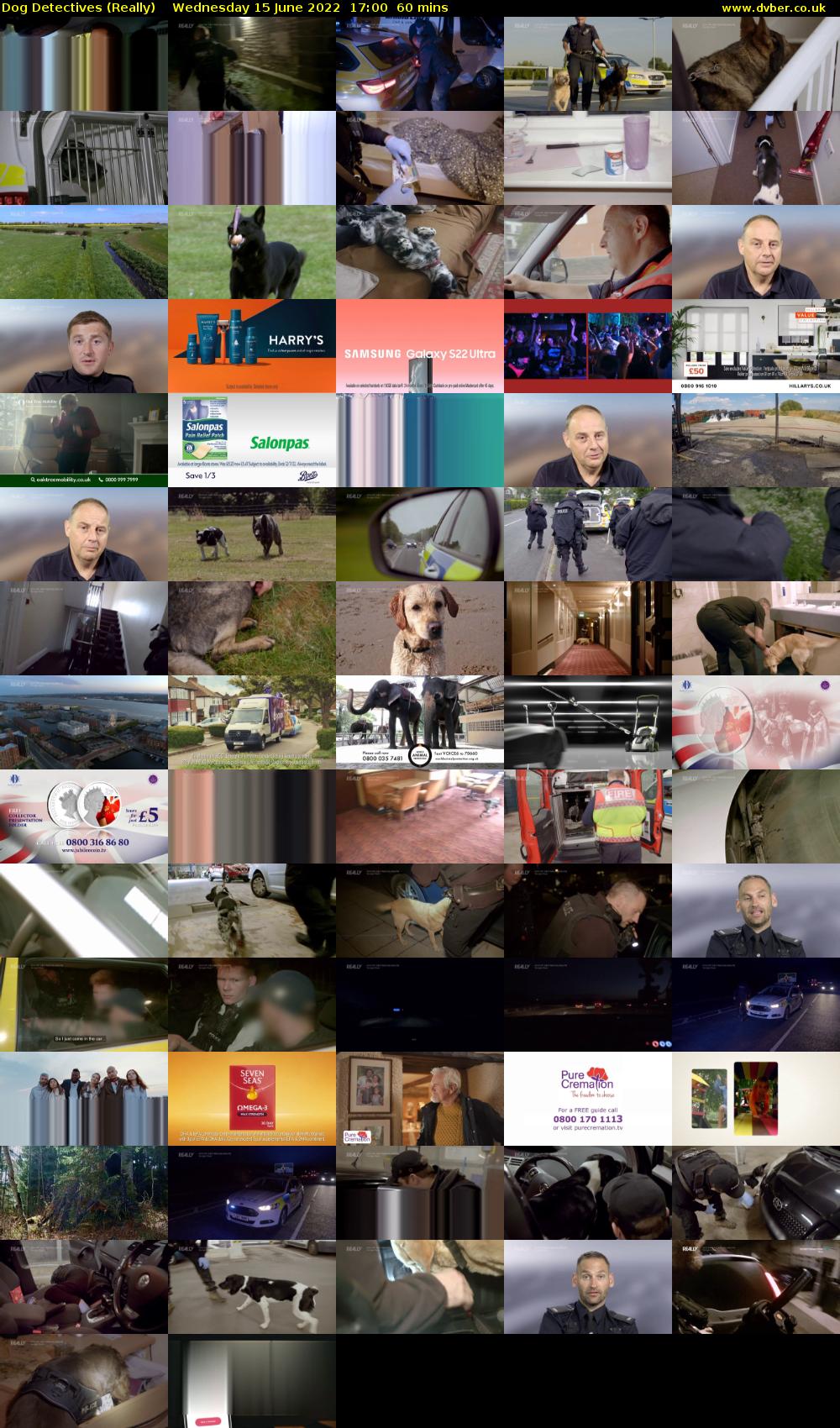 Dog Detectives (Really) Wednesday 15 June 2022 17:00 - 18:00
