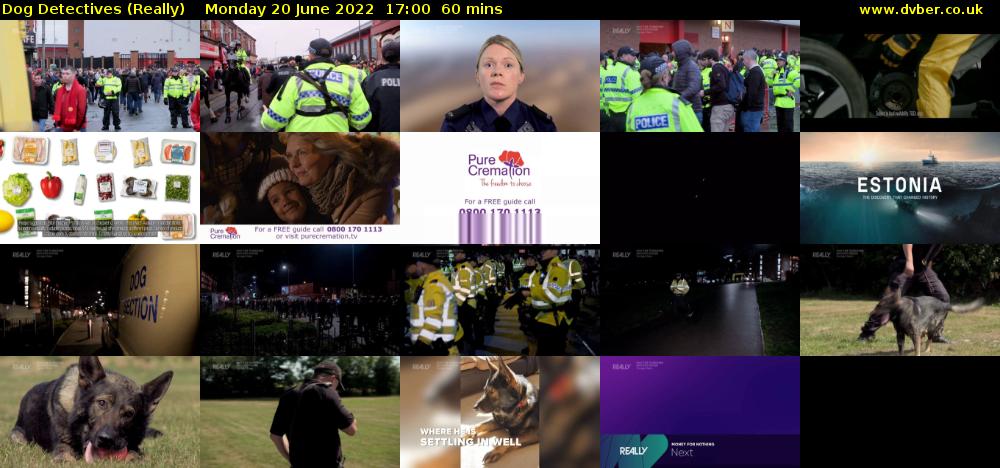 Dog Detectives (Really) Monday 20 June 2022 17:00 - 18:00