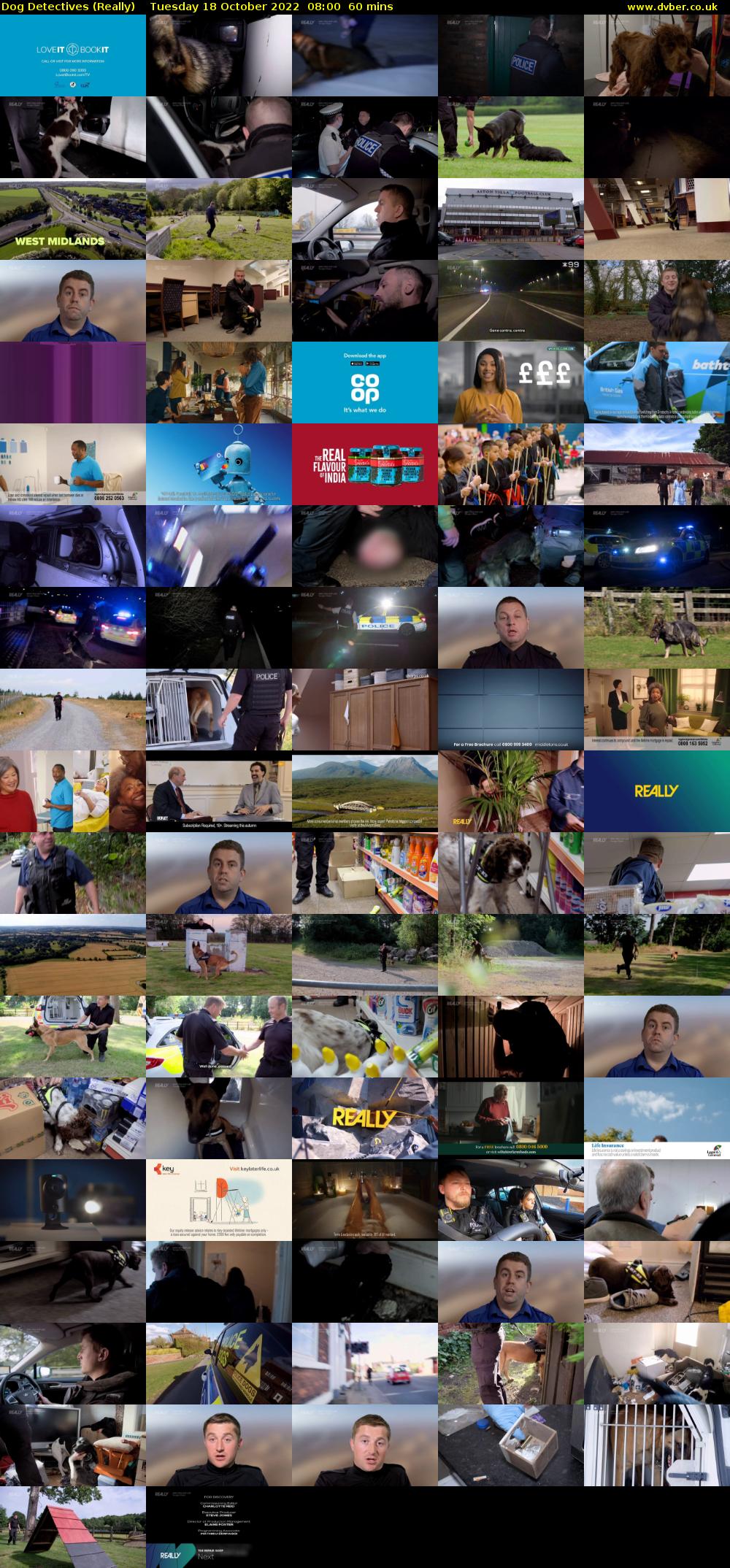 Dog Detectives (Really) Tuesday 18 October 2022 08:00 - 09:00