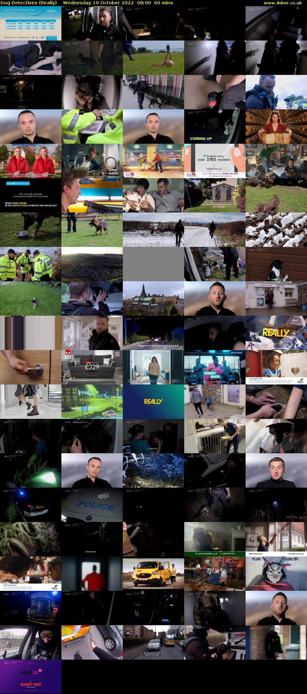 Dog Detectives (Really) Wednesday 19 October 2022 08:00 - 09:00