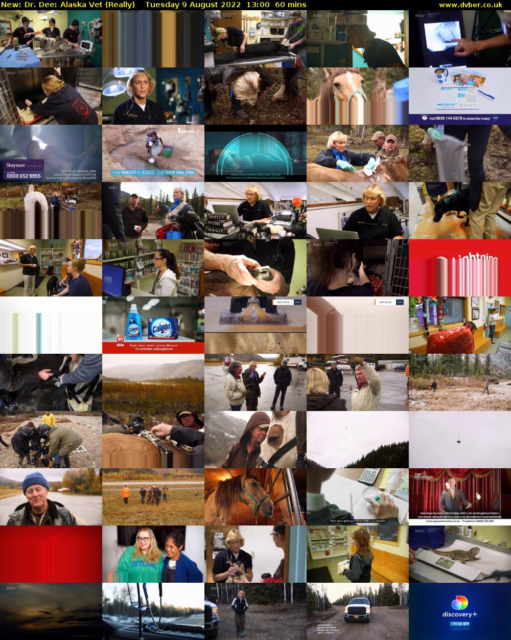 Dr. Dee: Alaska Vet (Really) Tuesday 9 August 2022 13:00 - 14:00