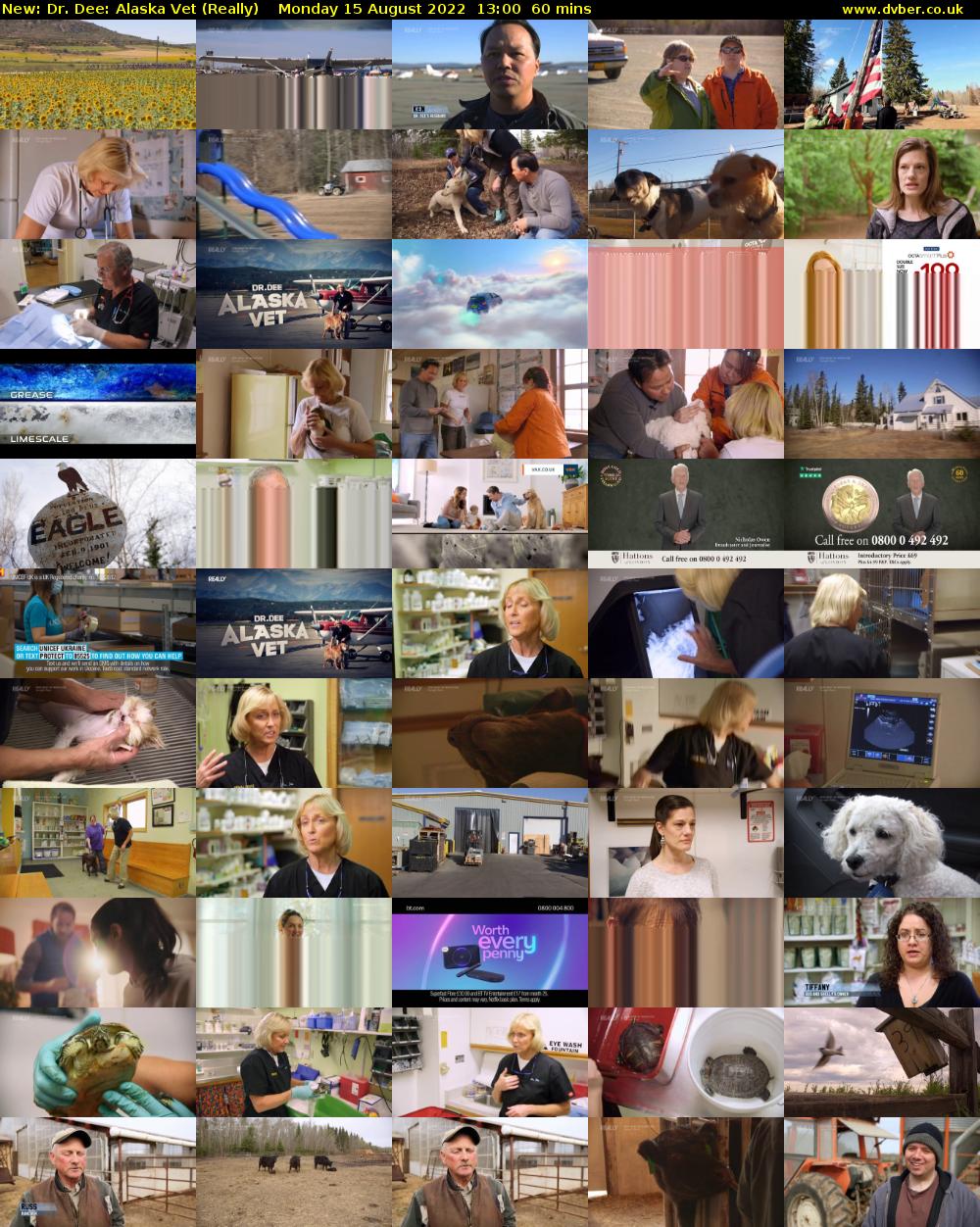 Dr. Dee: Alaska Vet (Really) Monday 15 August 2022 13:00 - 14:00