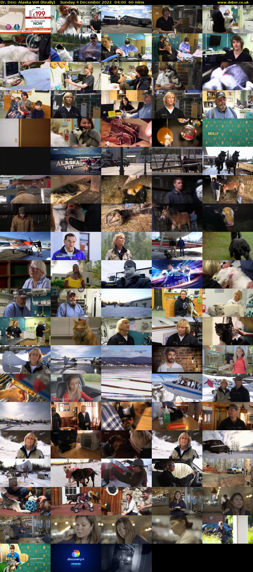 Dr. Dee: Alaska Vet (Really) Sunday 4 December 2022 04:00 - 05:00