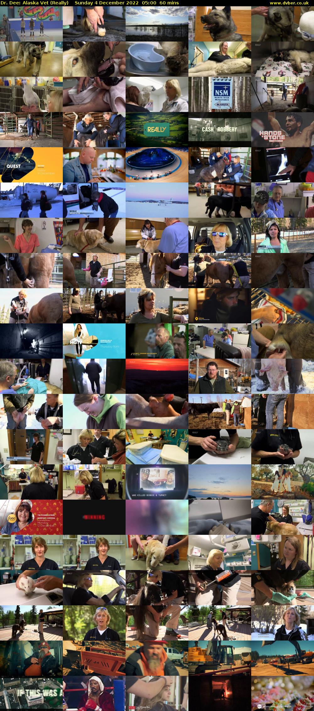 Dr. Dee: Alaska Vet (Really) Sunday 4 December 2022 05:00 - 06:00