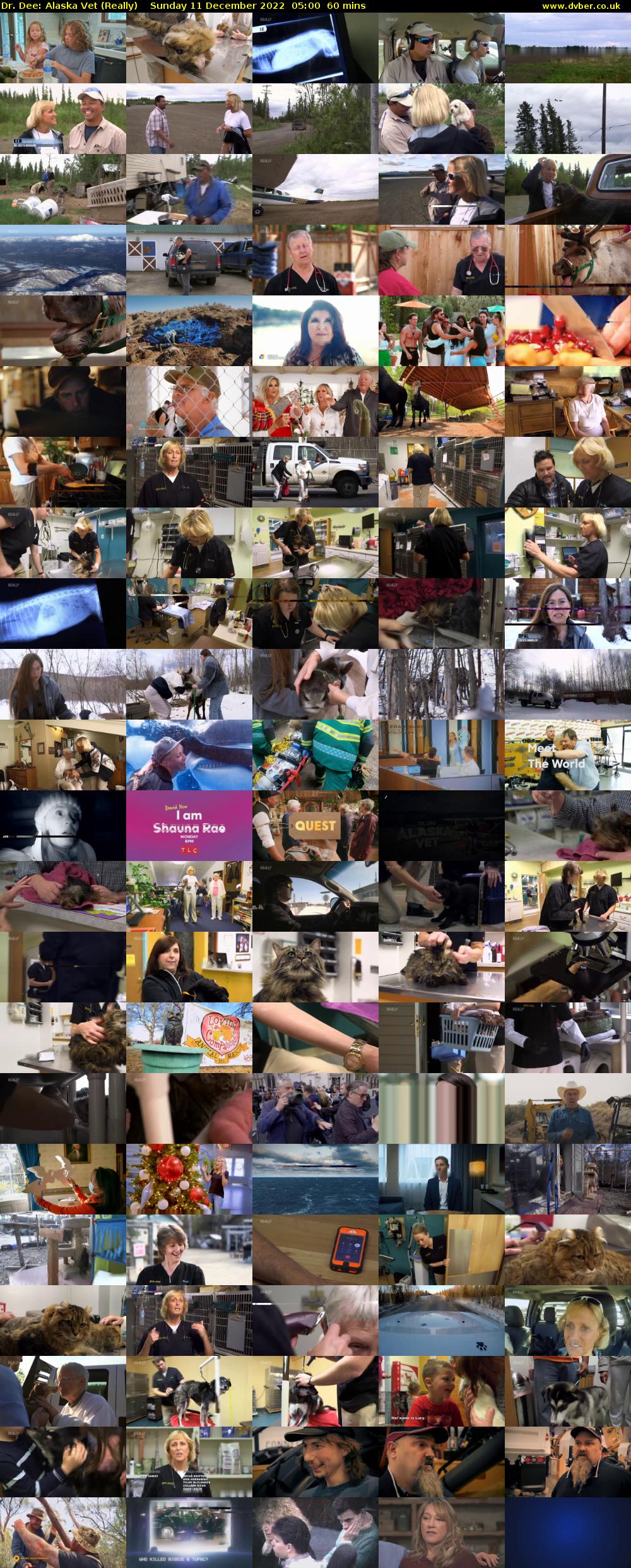 Dr. Dee: Alaska Vet (Really) Sunday 11 December 2022 05:00 - 06:00