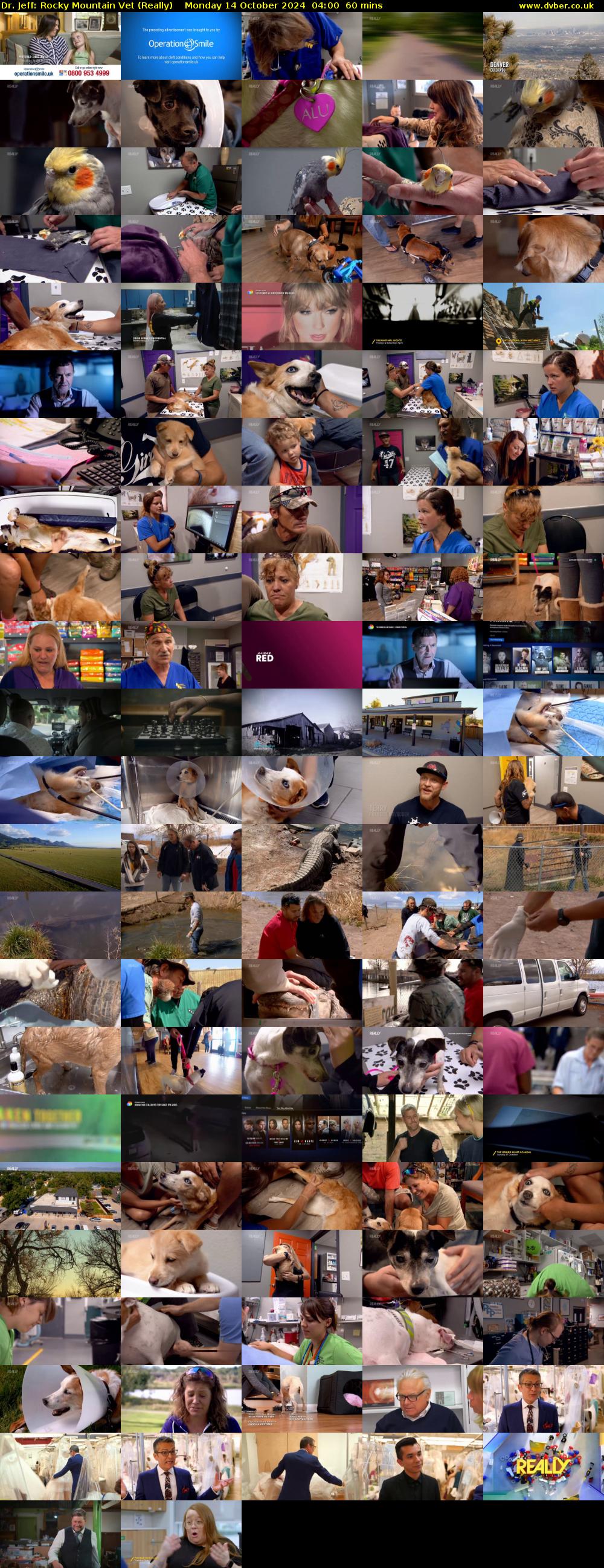 Dr. Jeff: Rocky Mountain Vet (Really) Monday 14 October 2024 04:00 - 05:00