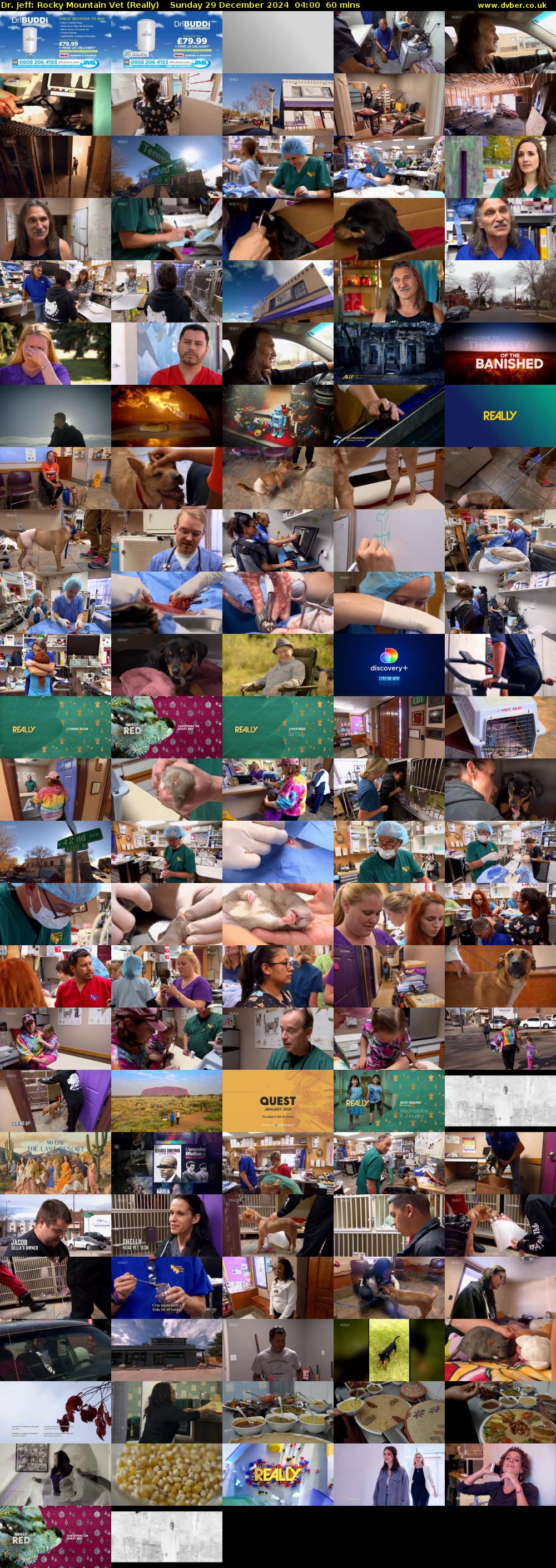 Dr. Jeff: Rocky Mountain Vet (Really) Sunday 29 December 2024 04:00 - 05:00