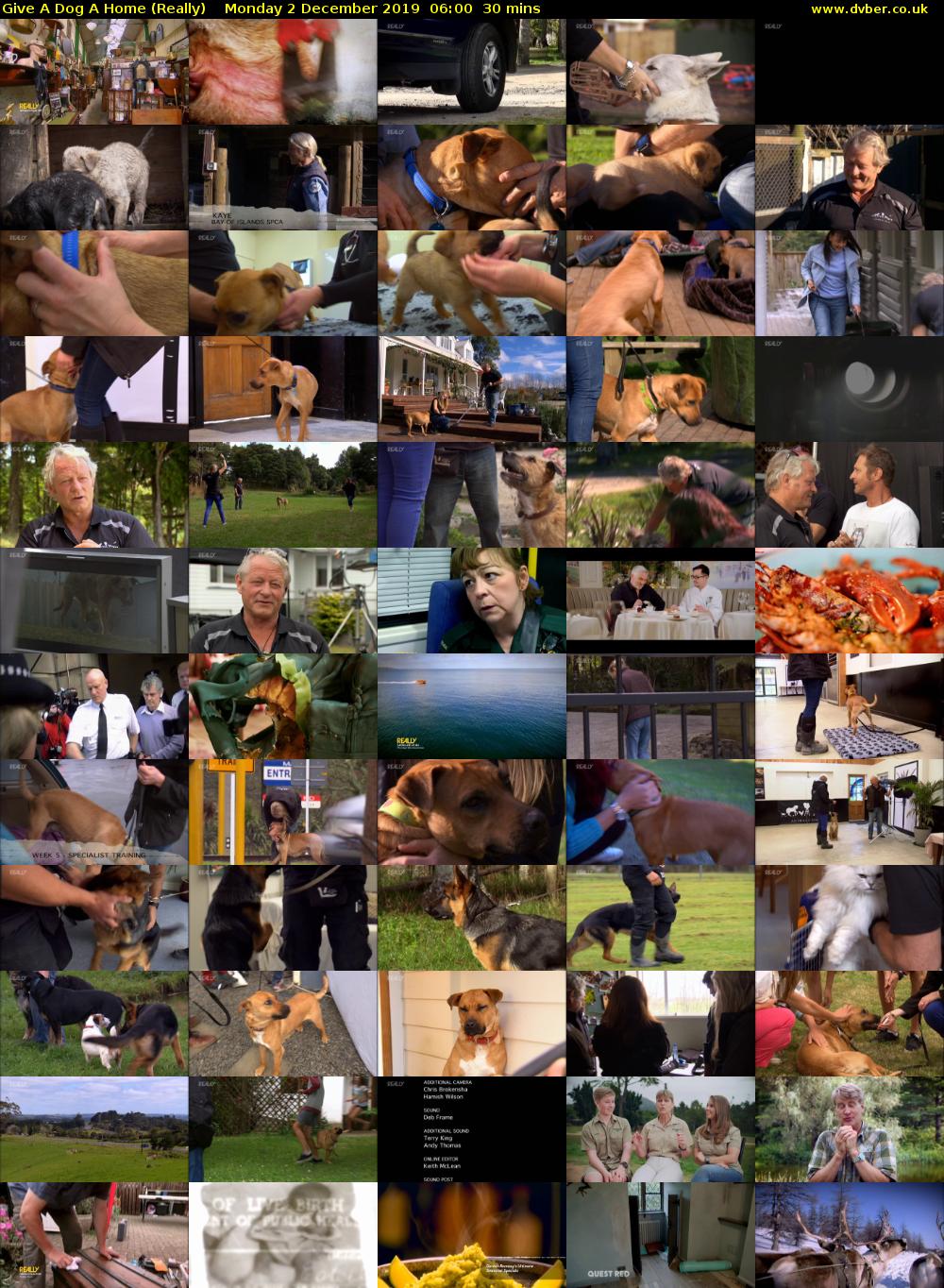 Give a Dog a Home (Really) Monday 2 December 2019 06:00 - 06:30