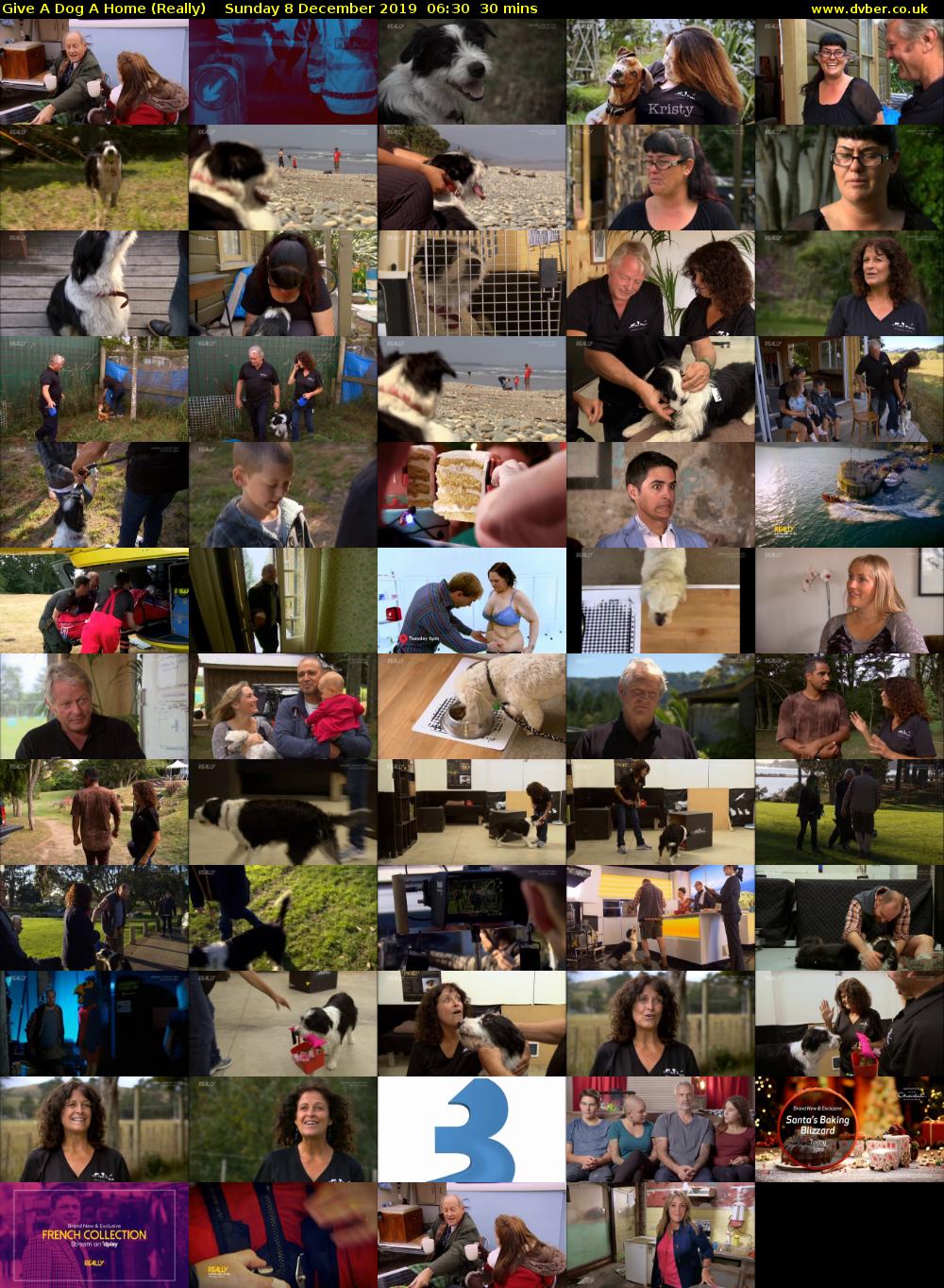 Give a Dog a Home (Really) Sunday 8 December 2019 06:30 - 07:00