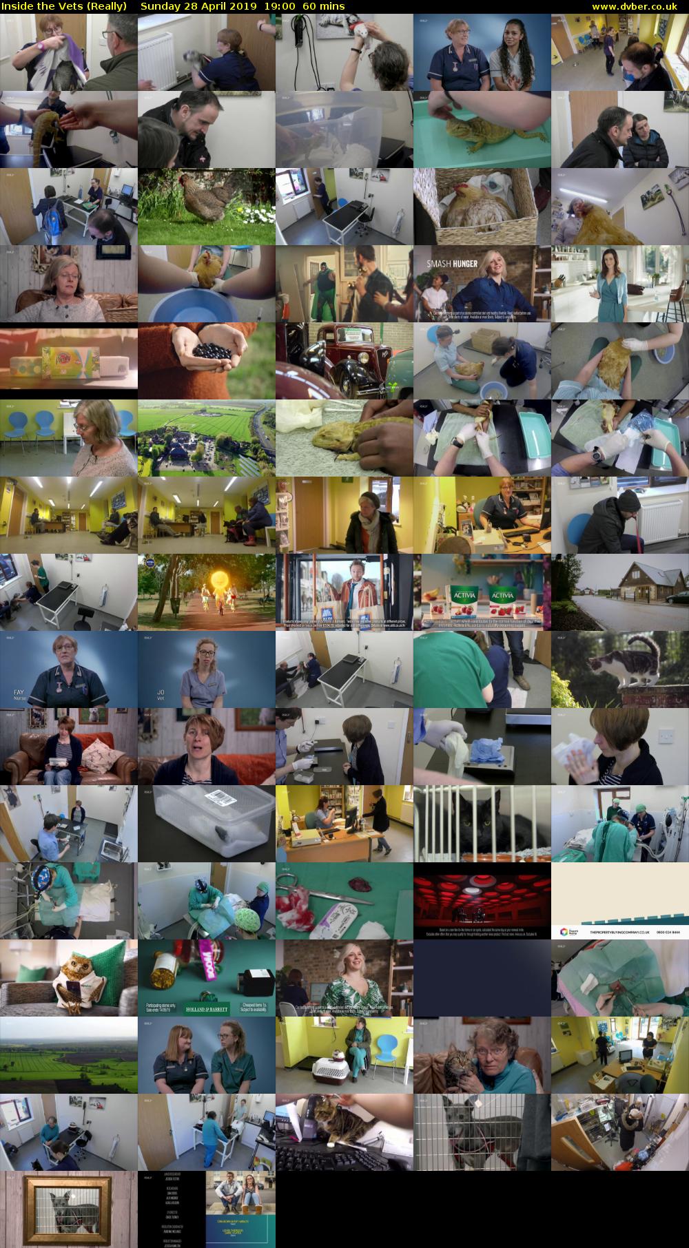 Inside the Vets (Really) Sunday 28 April 2019 19:00 - 20:00