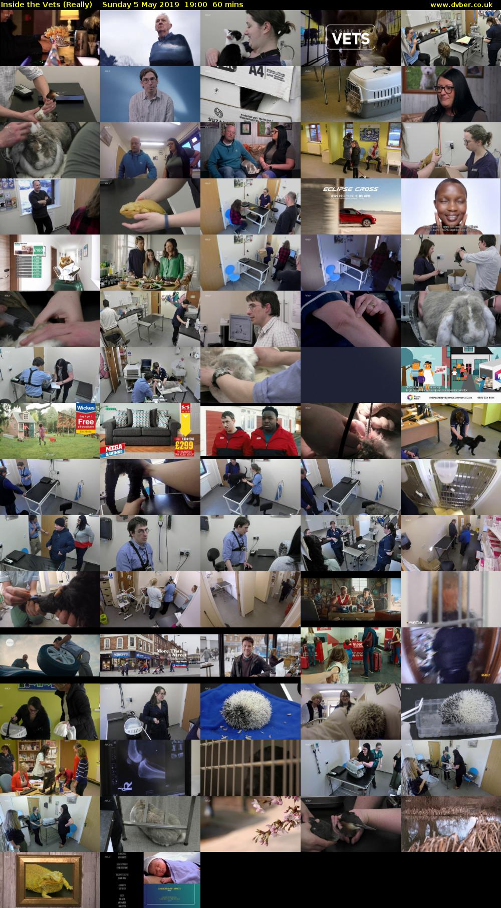 Inside the Vets (Really) Sunday 5 May 2019 19:00 - 20:00