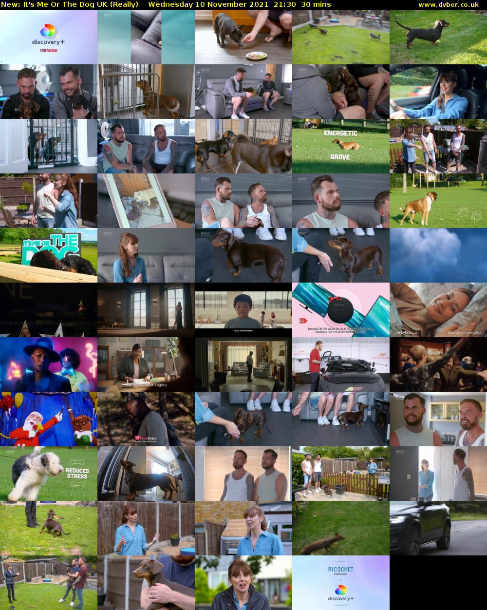 It's Me Or The Dog UK (Really) Wednesday 10 November 2021 21:30 - 22:00