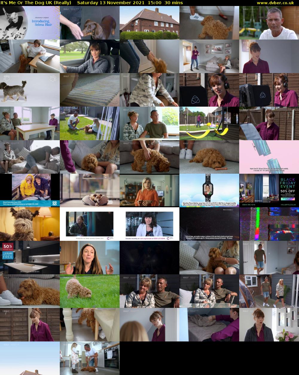 It's Me Or The Dog UK (Really) Saturday 13 November 2021 15:00 - 15:30