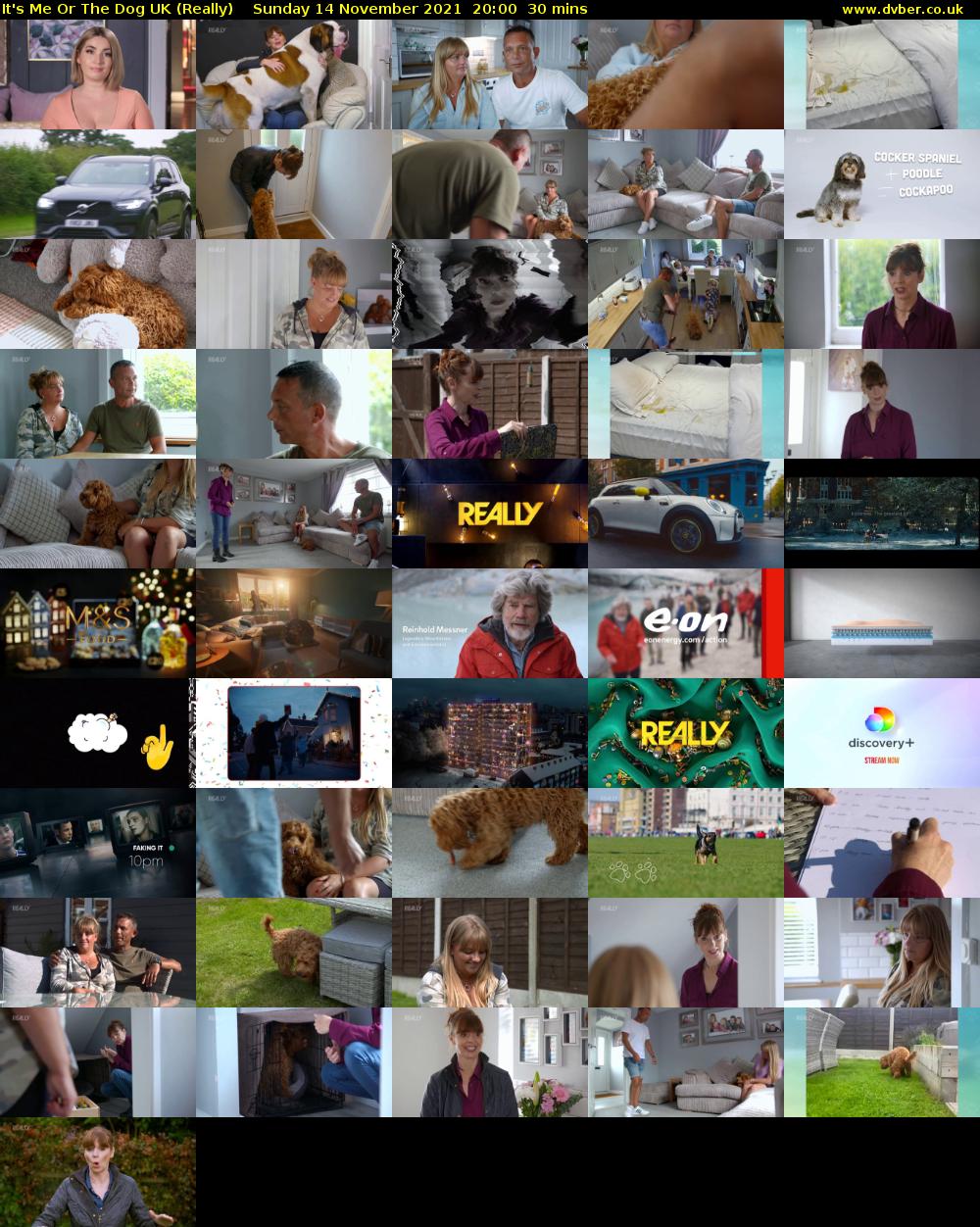It's Me Or The Dog UK (Really) Sunday 14 November 2021 20:00 - 20:30
