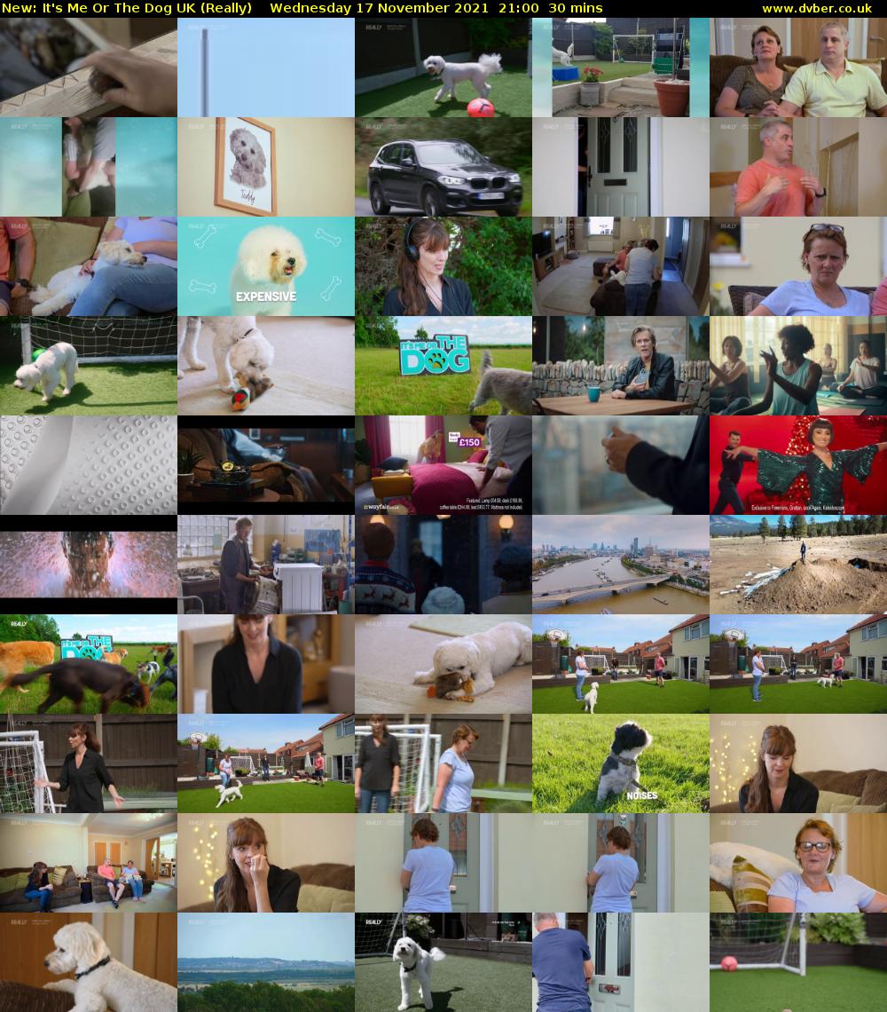 It's Me Or The Dog UK (Really) Wednesday 17 November 2021 21:00 - 21:30