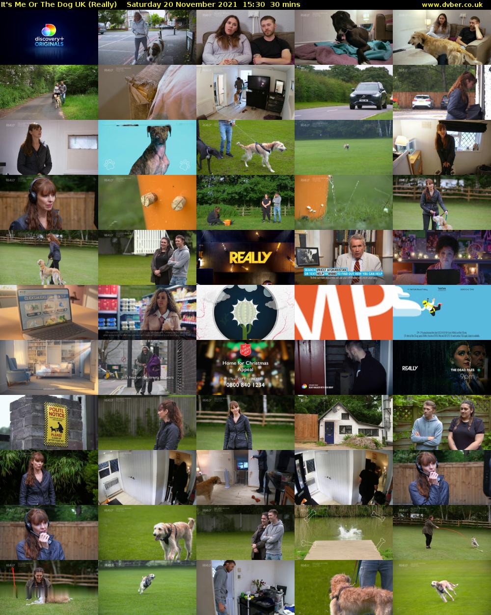 It's Me Or The Dog UK (Really) Saturday 20 November 2021 15:30 - 16:00