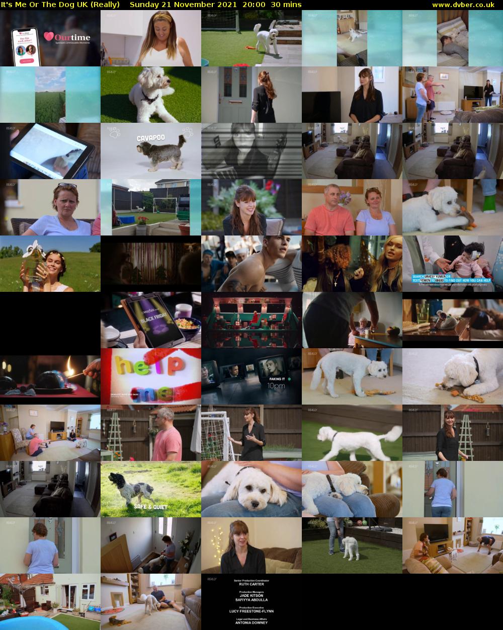 It's Me Or The Dog UK (Really) Sunday 21 November 2021 20:00 - 20:30