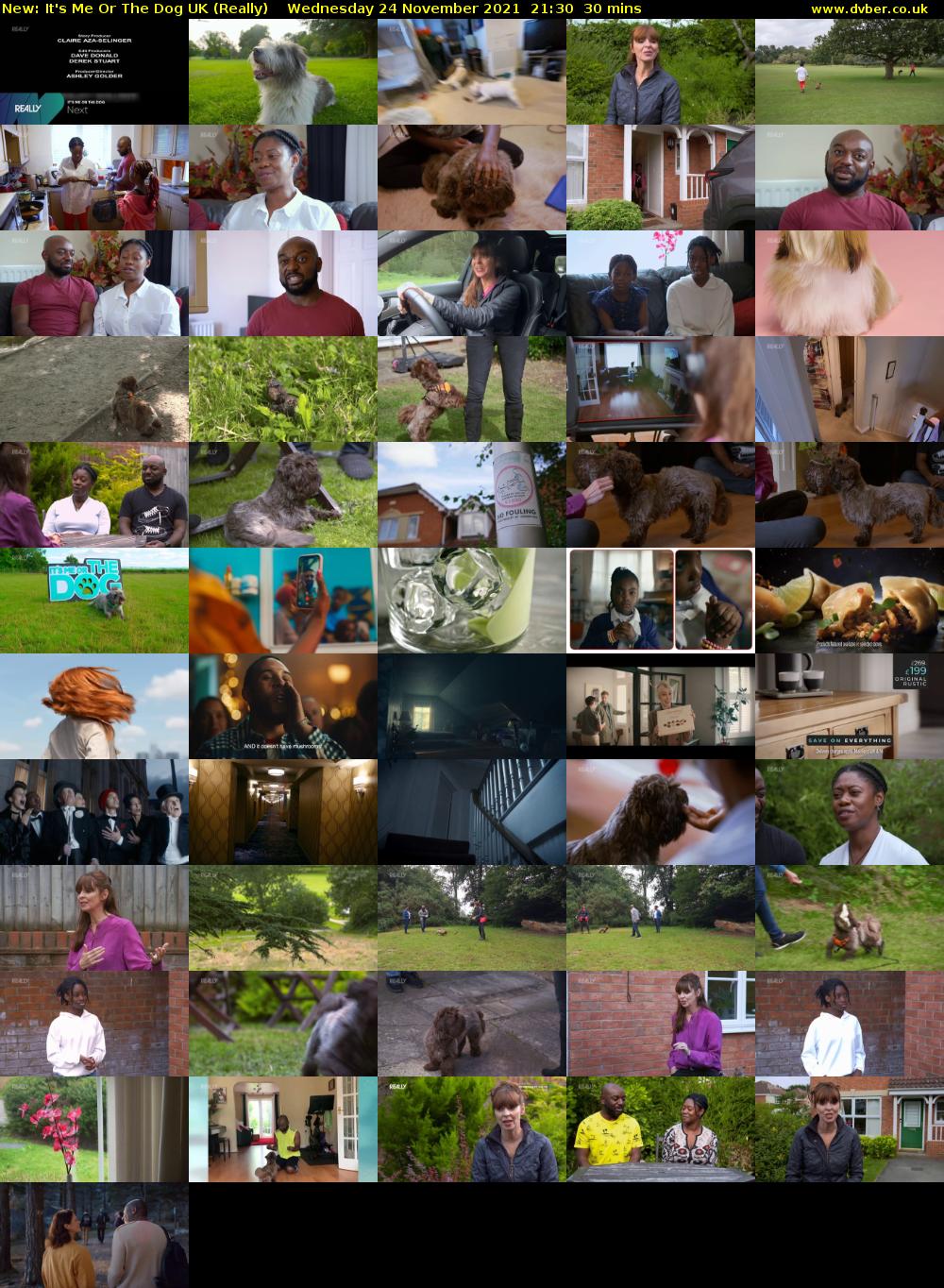 It's Me Or The Dog UK (Really) Wednesday 24 November 2021 21:30 - 22:00