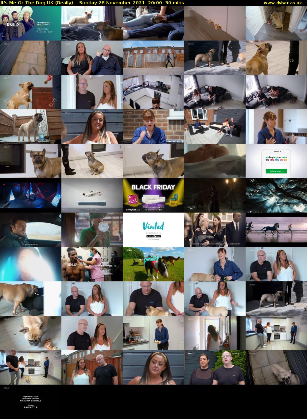 It's Me Or The Dog UK (Really) Sunday 28 November 2021 20:00 - 20:30