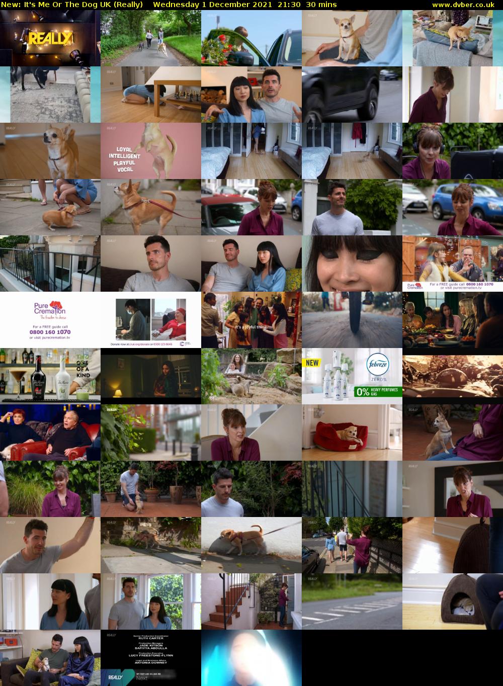 It's Me Or The Dog UK (Really) Wednesday 1 December 2021 21:30 - 22:00