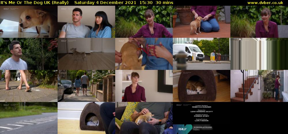 It's Me Or The Dog UK (Really) Saturday 4 December 2021 15:30 - 16:00