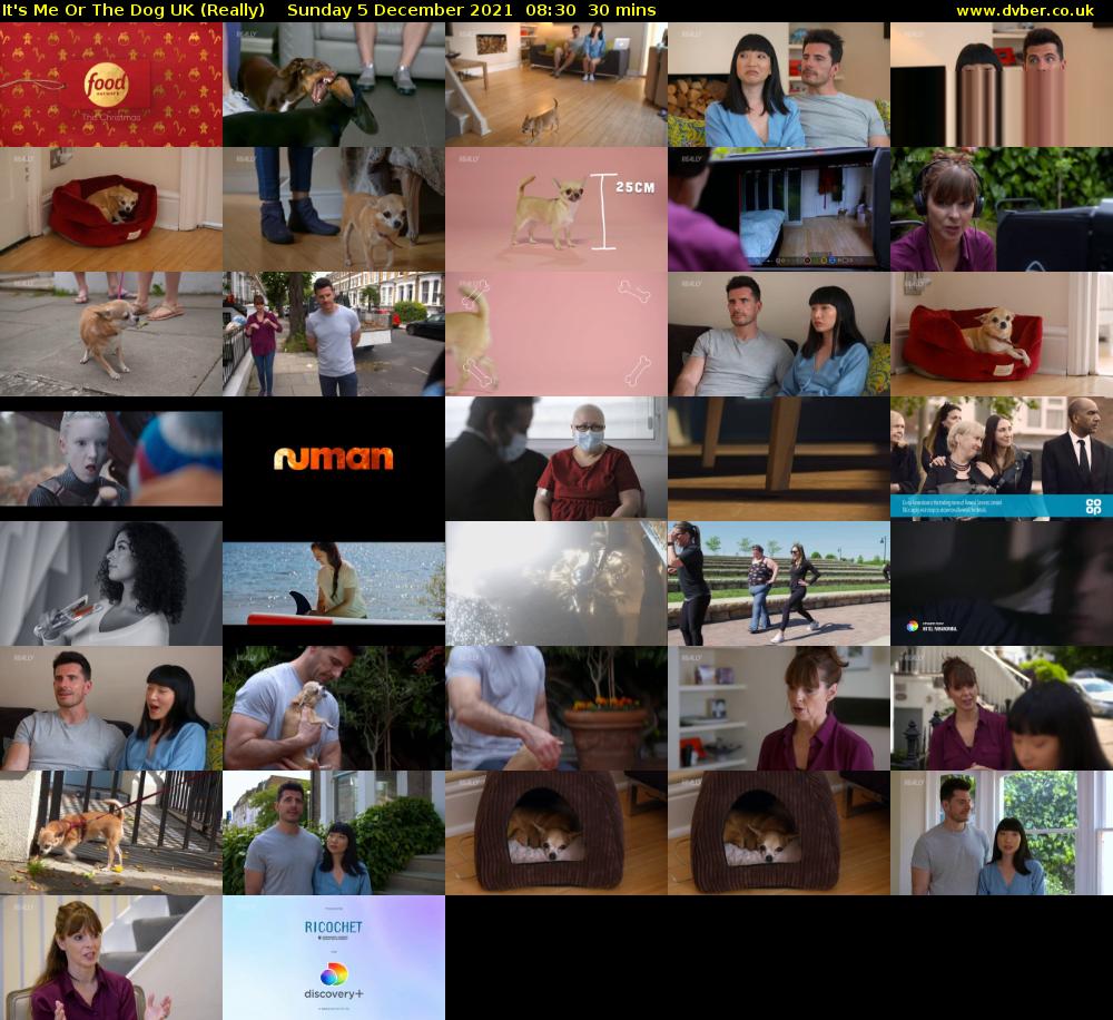 It's Me Or The Dog UK (Really) Sunday 5 December 2021 08:30 - 09:00
